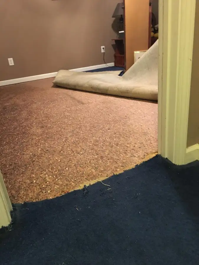 Carpet pad removal revealing water damage during Water Mitigation Services in Portland
